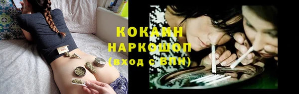 стафф Алзамай