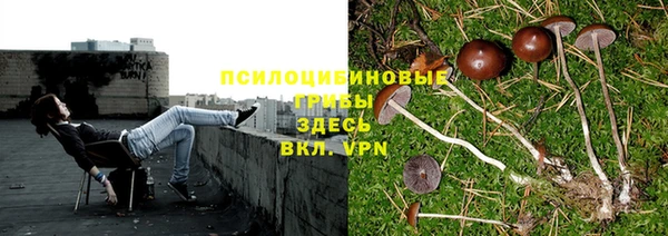 МДПВ Арсеньев