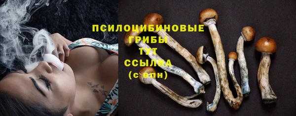 МДПВ Арсеньев