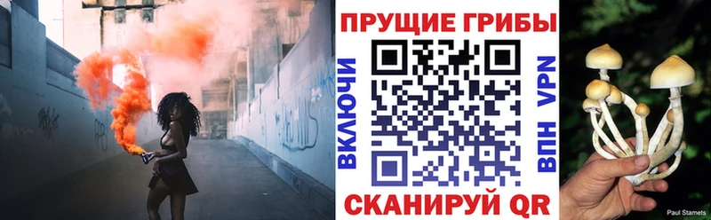 Купить где  Солигалич  Галлюциногенные грибы ЛСД 