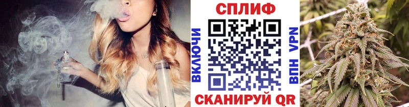 Каннабис OG Kush  Купить где  Солигалич 
